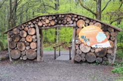 Waldbaden Bad Sobernheim