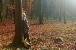 Waldbaden-Durchatmen im Wald