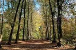 Waldbaden in Sonsbeck für Frauen (3,5 Std.)