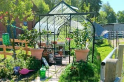 Waldbaden mit Alpakas für 2 (1 Nacht)