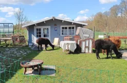 Waldbaden mit Alpakas für 2 (2 Nächte)