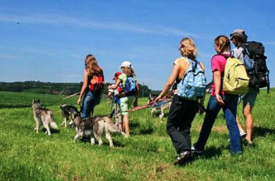 Wandern mit Huskies