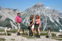 Wandern mit Huskies
