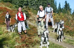 Wandern mit Huskies