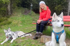 Wandern mit Huskies Füssen