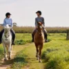 Wanderreiten