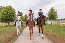 Wanderreiten