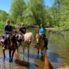 Wanderreiten Aschbach