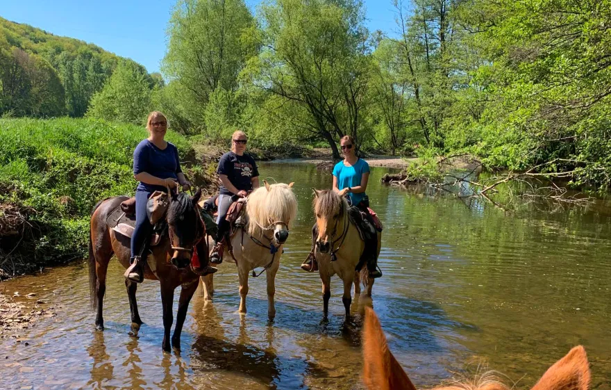Wanderreiten Aschbach