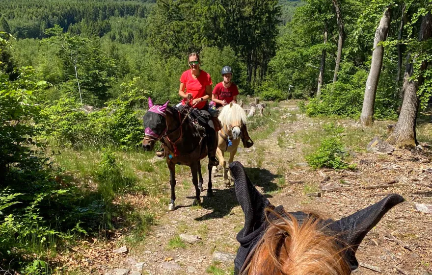 Wanderreiten Aschbach