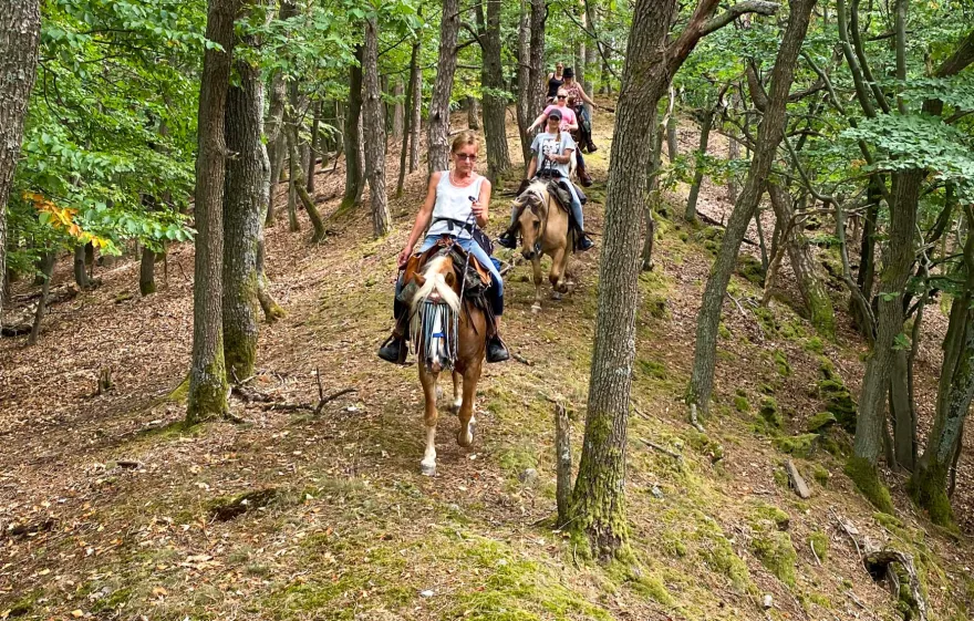 Wanderreiten Aschbach