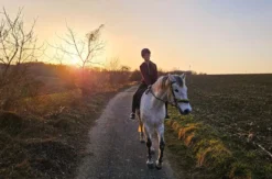 Wanderreiten Kapelln
