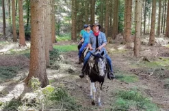 Wanderreiten mit Picknick Weiler bei Monzingen