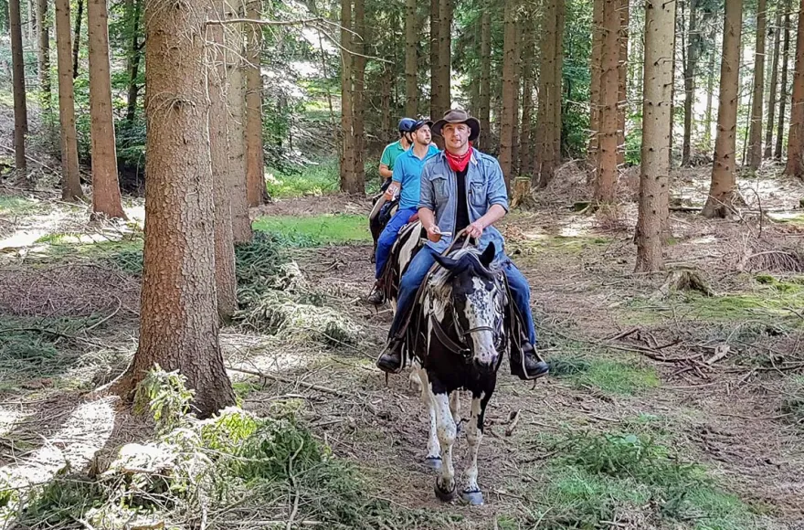 Wanderreiten mit Picknick Weiler bei Monzingen