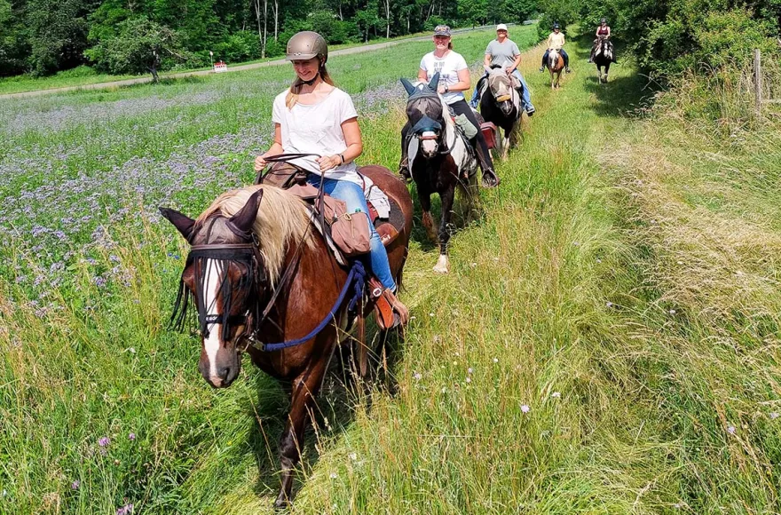 Wanderreiten mit Picknick Weiler bei Monzingen