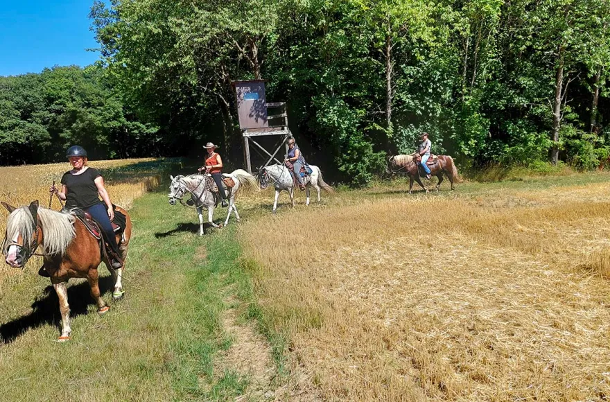 Wanderreiten mit Picknick Weiler bei Monzingen