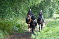 Wanderreiten mit Verpflegung