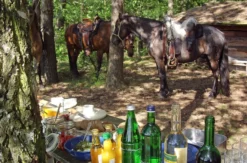 Wanderreiten Neustadt am Rübenberge