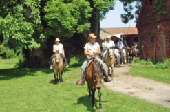 Wanderreiten Neustadt am Rübenberge