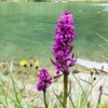 Wandertour Ehrwald