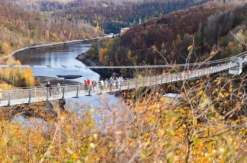 Wanderung inkl. Bierverkostung Oberharz am Brocken