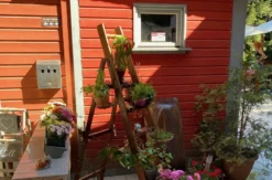 Wanderurlaub im Harz für 2 (2 Nächte)