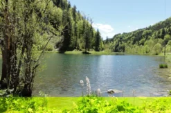 Wanderurlaub Jakobskreuz-Pillerseetal für 2 (2 Nächte)