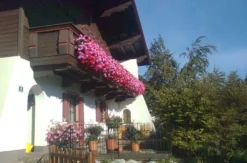 Wanderurlaub Jakobskreuz-Pillerseetal für 2 (2 Nächte)