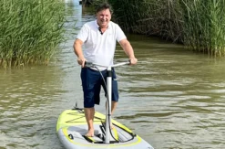 Wasserstepper am Neusiedler See