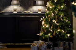 Weihnachtsurlaub an der Nordsee Krumstedt für 8 Personen (7 Nächte)