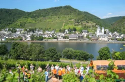 Weinausflug & Schifffahrt auf der Mosel Bullay