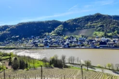 Weinausflug & Schifffahrt auf der Mosel Bullay