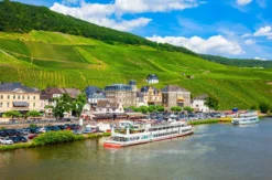 Weinausflug & Schifffahrt auf der Mosel Bullay