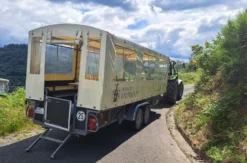 Weinausflug & Schifffahrt auf der Mosel Bullay