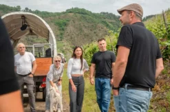 Weinausflug & Schifffahrt auf der Mosel