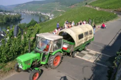 Weinausflug und Schifffahrt auf der Mosel Klotten