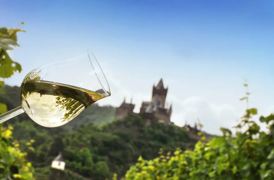 Weinausflug und Schifffahrt auf der Mosel Cochem