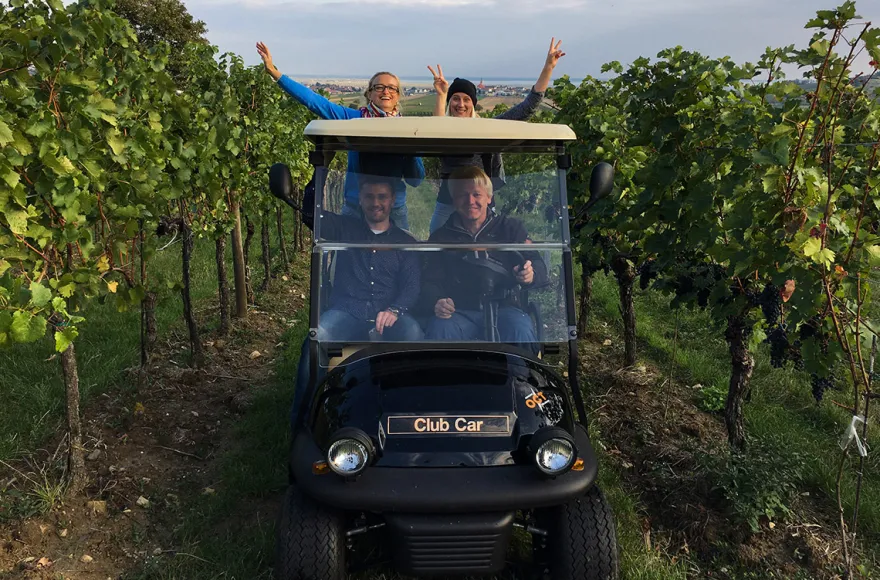 Weinbergrundfahrt Jois für 2