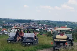 Weinbergsrundfahrt Jois (2 Stunden)