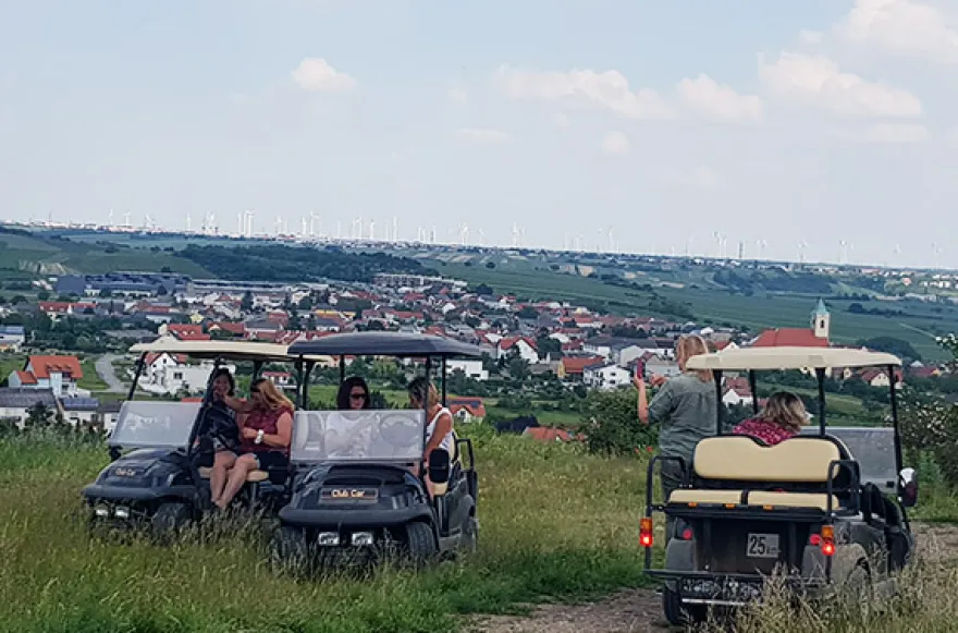Weinbergsrundfahrt Jois (2 Stunden)