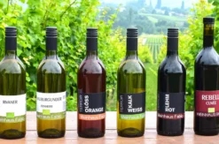 Weinbergwanderung Göcklingen