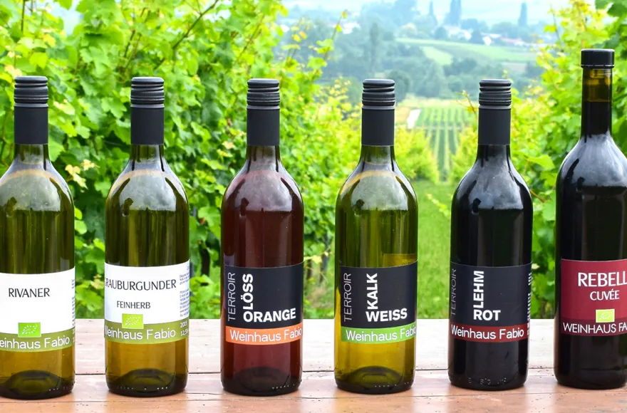 Weinbergwanderung Göcklingen