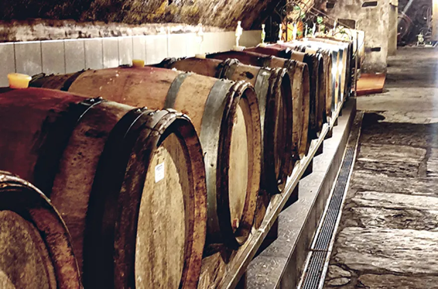 Weinbergwanderung in Bad Neuenahr-Ahrweiler