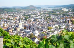 Weinbergwanderung in Bad Neuenahr-Ahrweiler