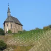 Weinbergwanderung Lorch