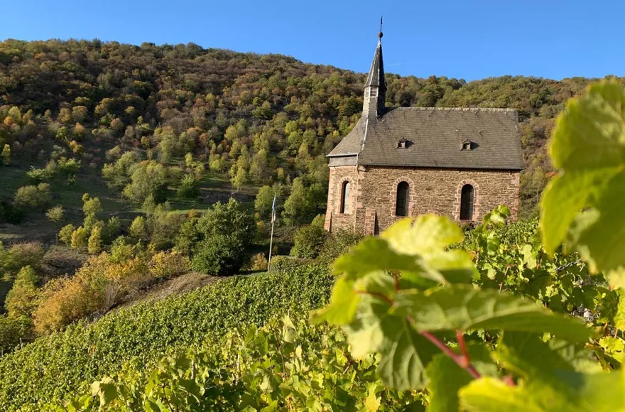 Weinbergwanderung Lorch