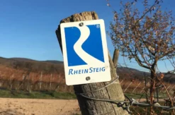 Weinbergwanderung Lorch
