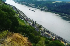 Weinbergwanderung Lorch