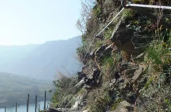 Weinbergwanderung mit Klettersteig an der Mosel
