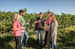Weinbergwanderung mit Verkostung Worms